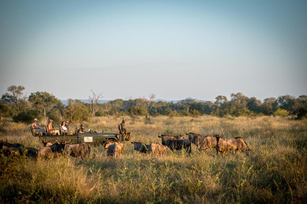 Umkumbe Bush Lodge - Luxury Tented Camp Sabi Sands viltreservat Exteriör bild