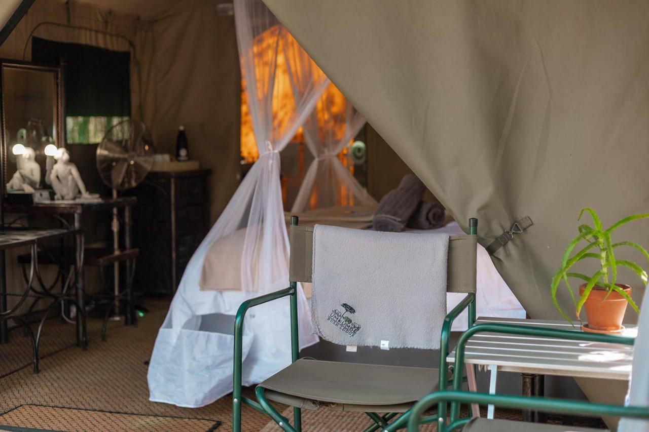 Umkumbe Bush Lodge - Luxury Tented Camp Sabi Sands viltreservat Exteriör bild